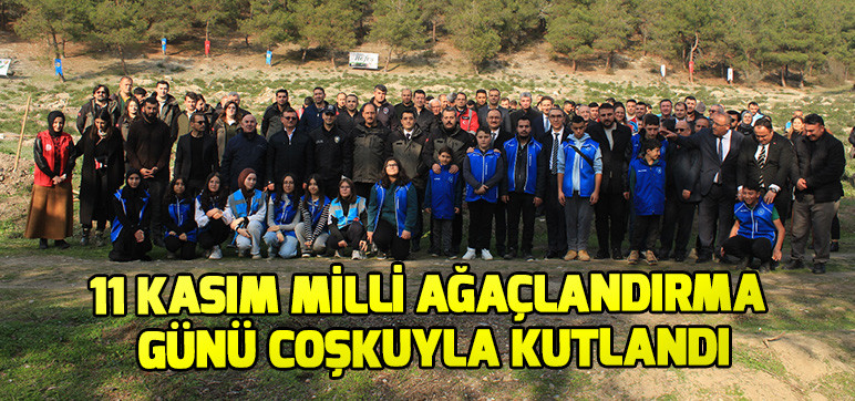 11 KASIM MİLLİ AĞAÇLANDIRMA GÜNÜ COŞKUYLA KUTLANDI