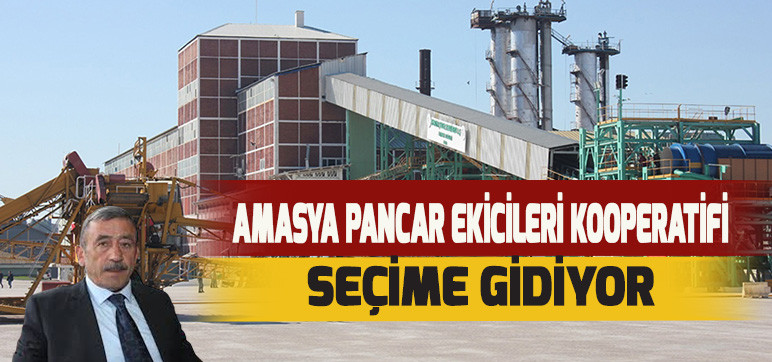 Amasya Pancar Ekicileri Kooperatifi Seçime Gidiyor