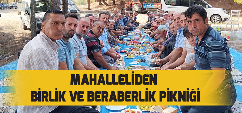 Mahalleliden Birlik ve Beraberlik Pikniği