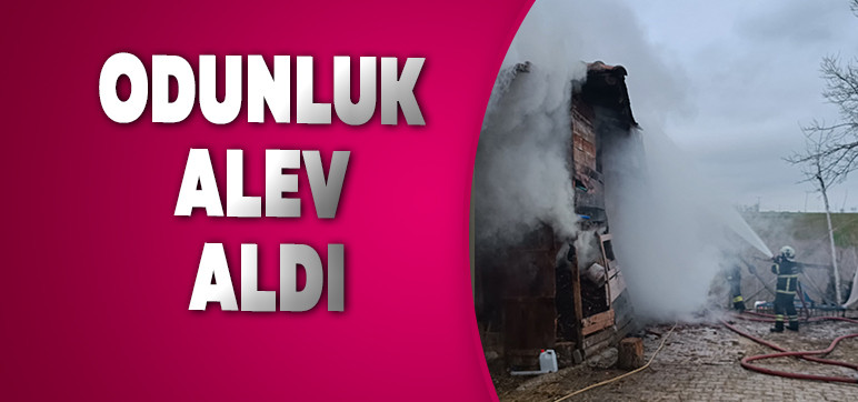 ODUNLUK ALEV ALDI