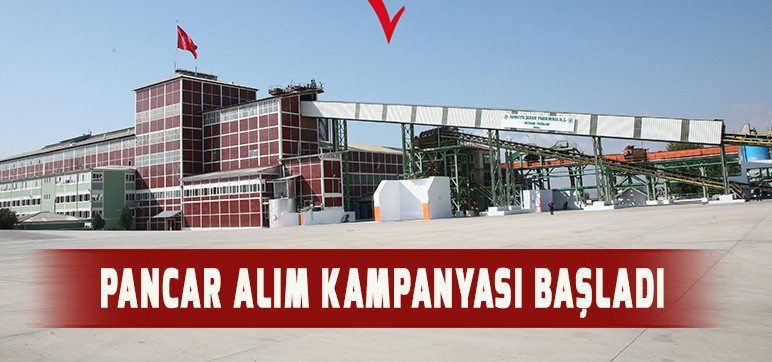 PANCAR ALIM  KAMPANYASI BAŞLADI