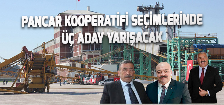 Pancar Kooperatifi Seçimlerinde  Üç Aday Yarışacak