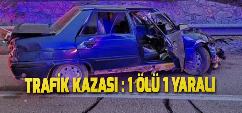 Trafik Kazası : 1 ölü 1 yaralı