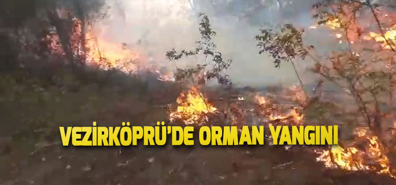 Vezirköprü’de Orman Yangını