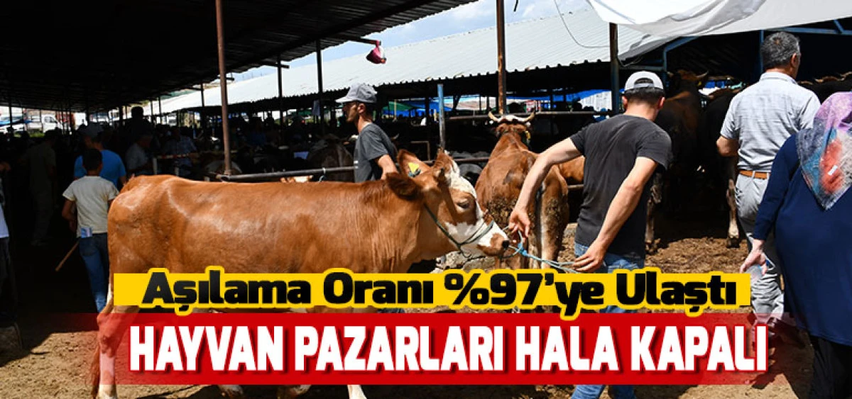 Aşılama Oranı %97’ye Ulaştı  HAYVAN PAZARLARI HALA KAPALI