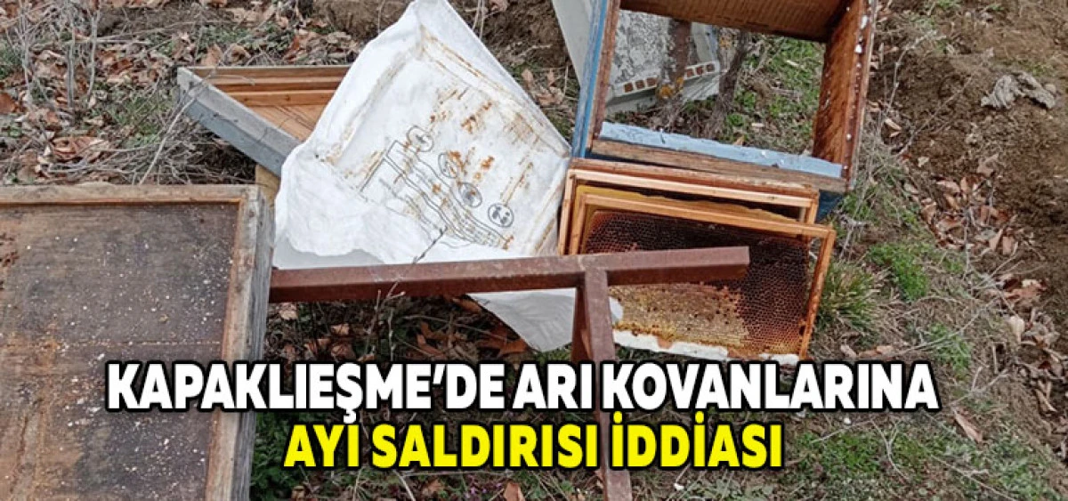 Kapaklıeşme&rsquo;de Arı Kovanlarına Ayı Saldırısı İddiası