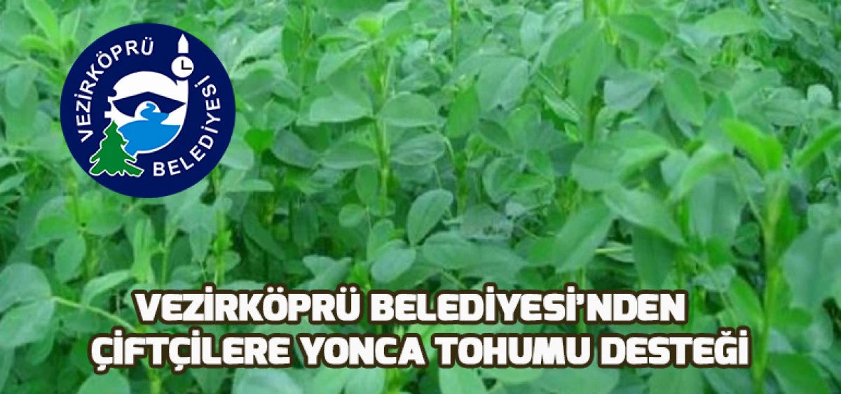 Vezirk&ouml;pr&uuml; Belediyesi&rsquo;nden &Ccedil;ift&ccedil;ilere Yonca Tohumu Desteği