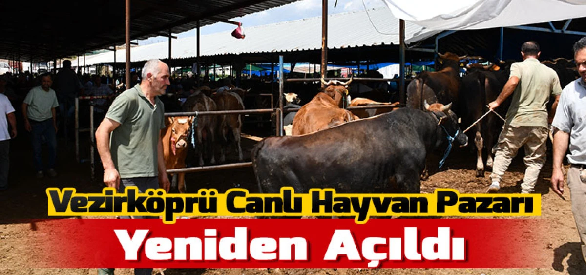 Vezirk&ouml;pr&uuml; Canlı Hayvan Pazarı Yeniden A&ccedil;ıldı