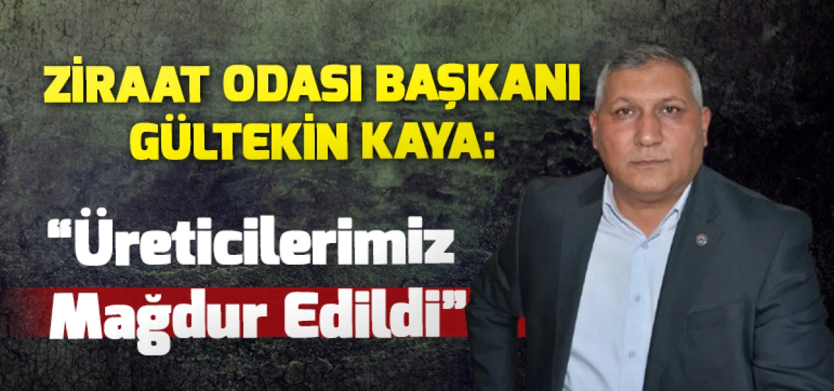 Ziraat Odası Başkanı G&uuml;ltekin Kaya:&ldquo;&Uuml;reticilerimiz Mağdur Edildi&rdquo;